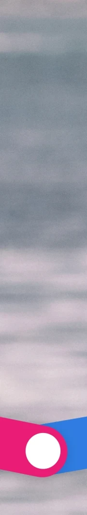 The line that unites us